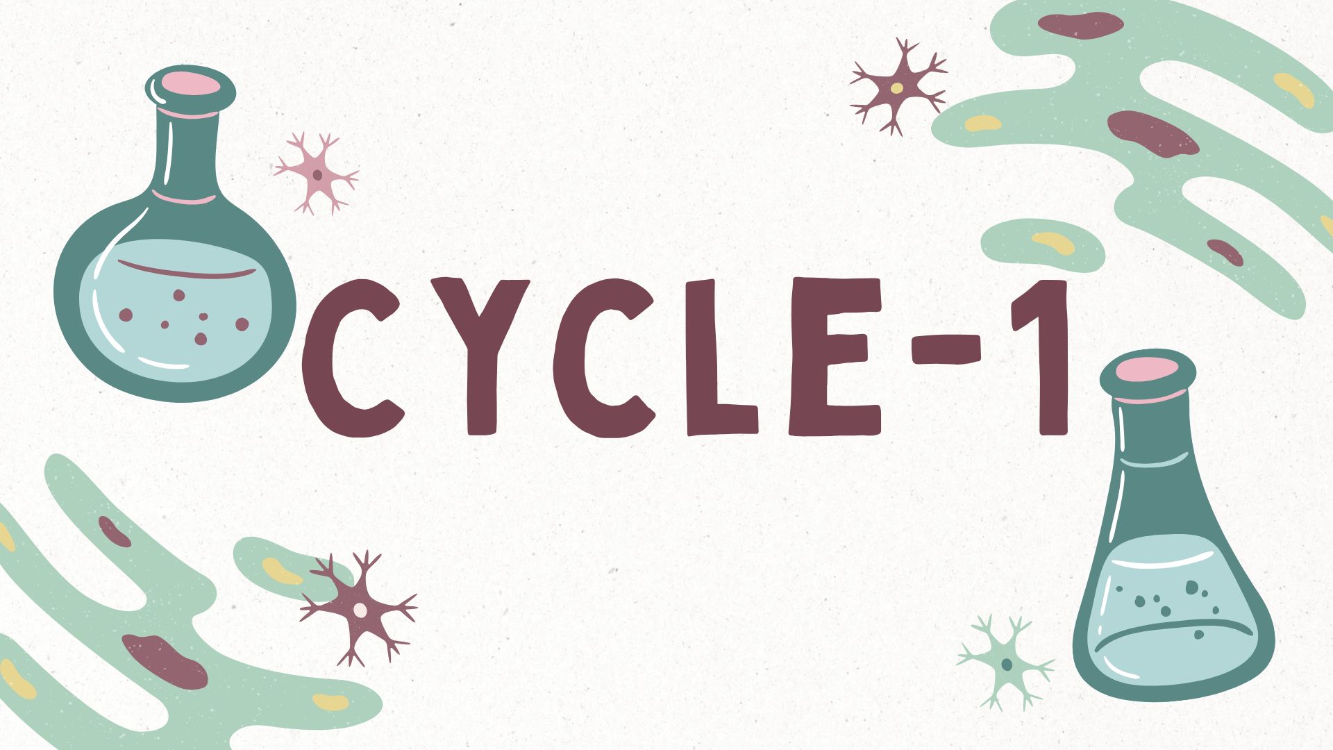 Cycle 1